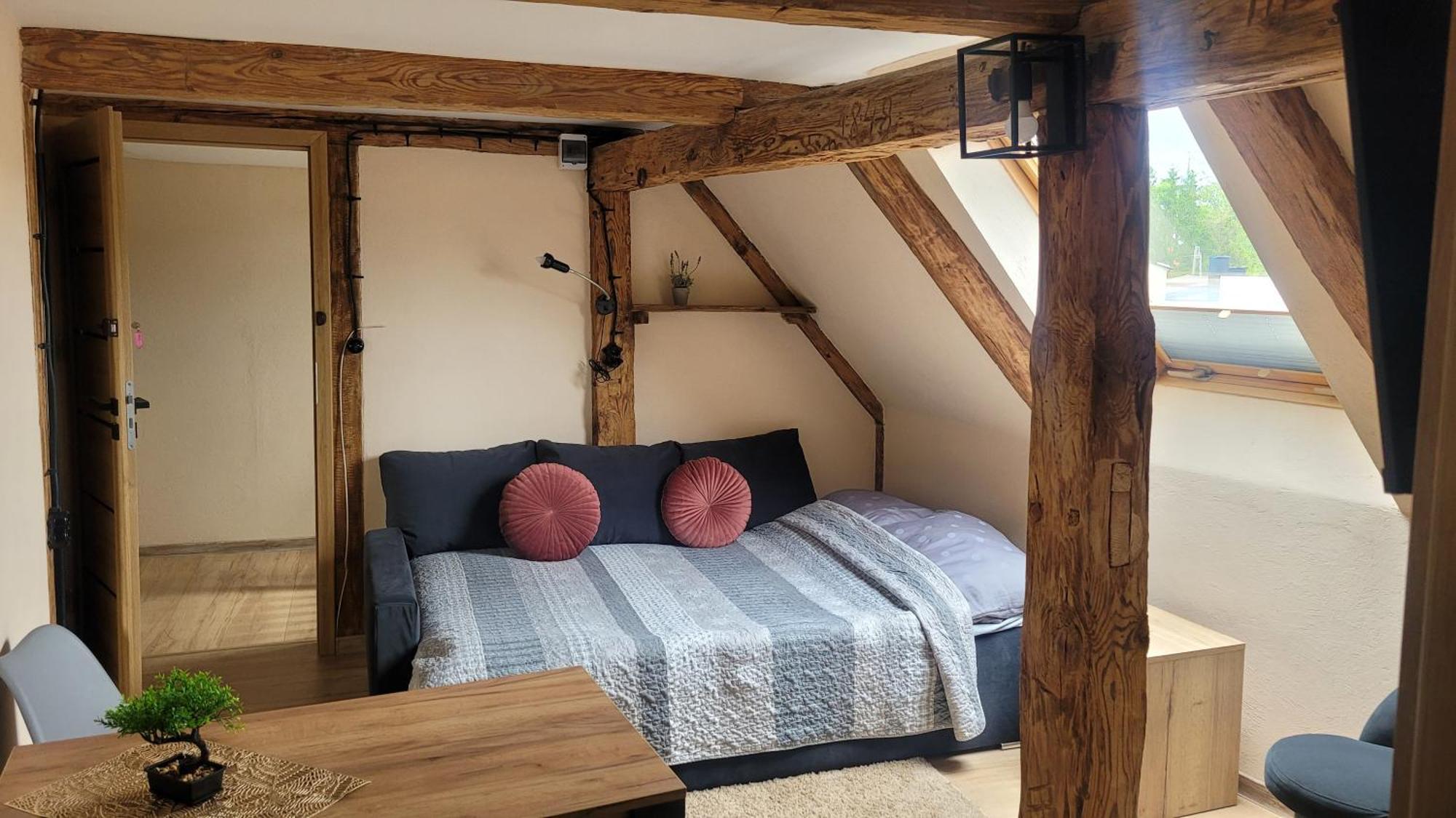 Majer Centrum Starowka Apartment Leba