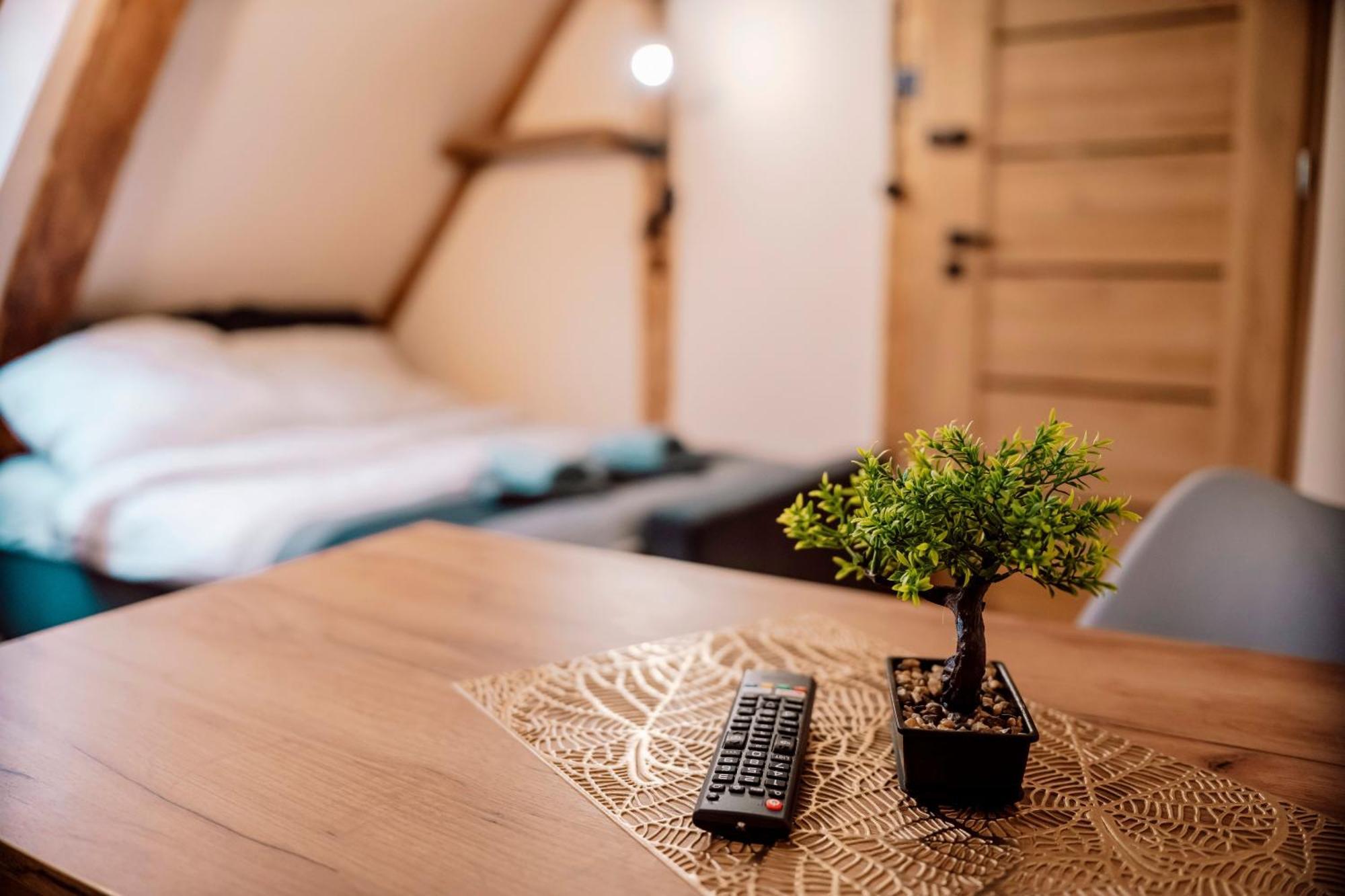 Majer Centrum Starowka Apartment Leba