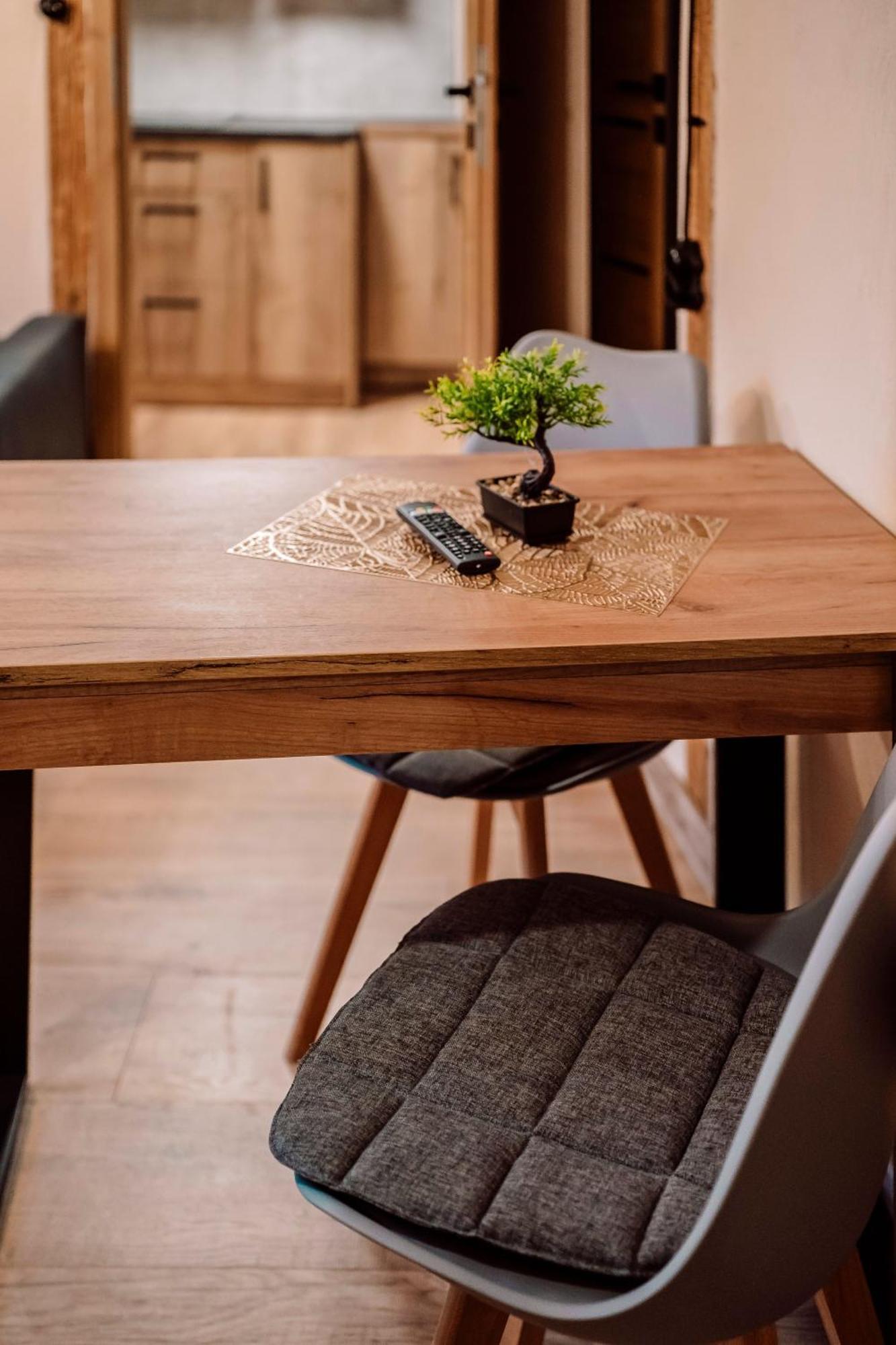 Majer Centrum Starowka Apartment Leba